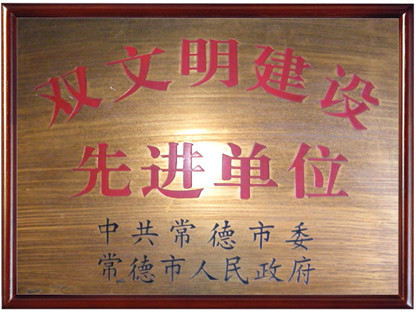 双文明先进单位